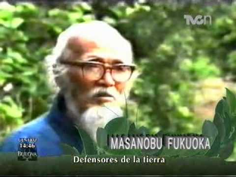Donde esta el huerto de masanobu fukuoka
